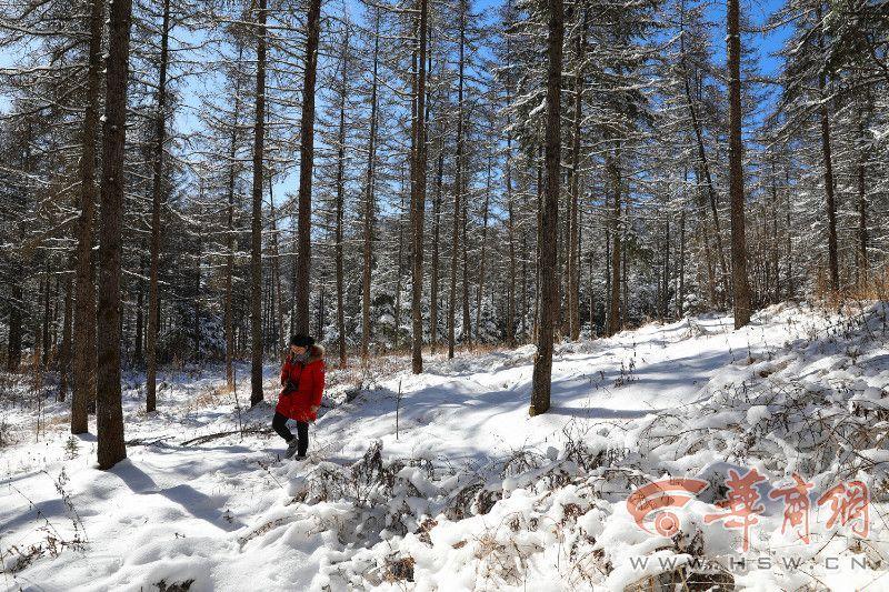 日均净赚0.8个小目标，但比亚迪股价仍被“腰斩”，问题出在哪