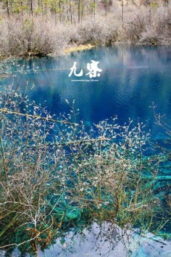 读书 | 龘、麤、骉……这些三叠字你会读吗?