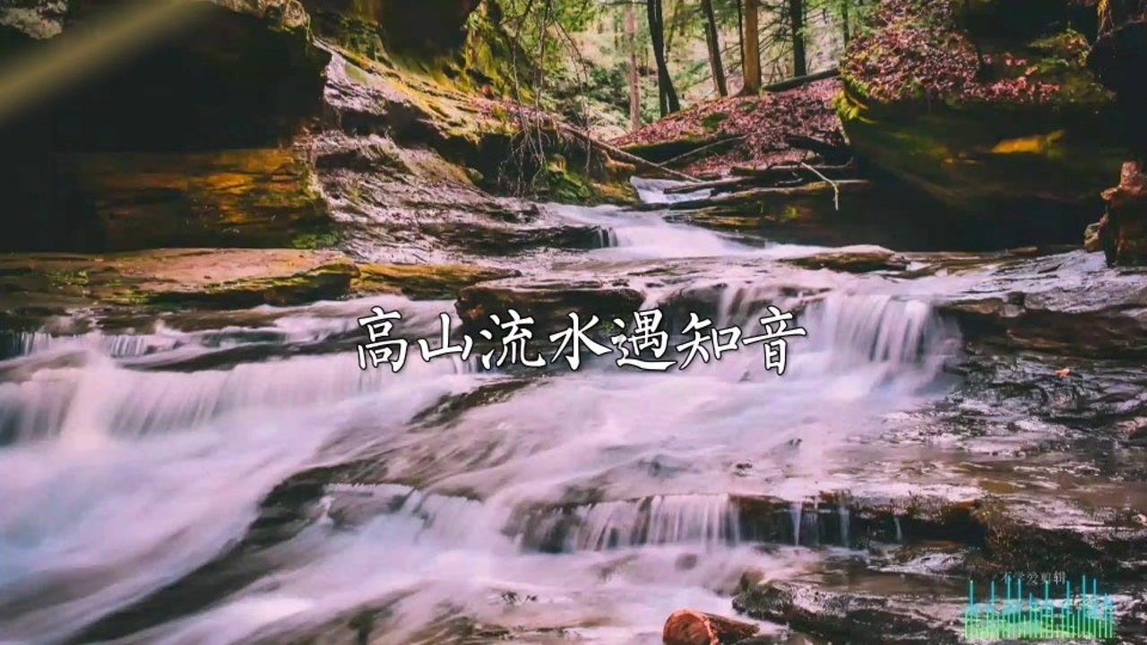 指挥官营救