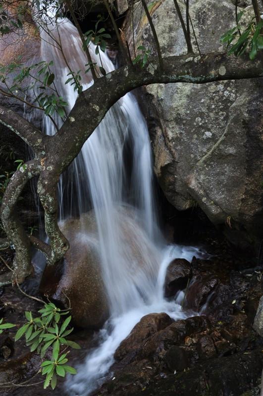 逃离废弃高校