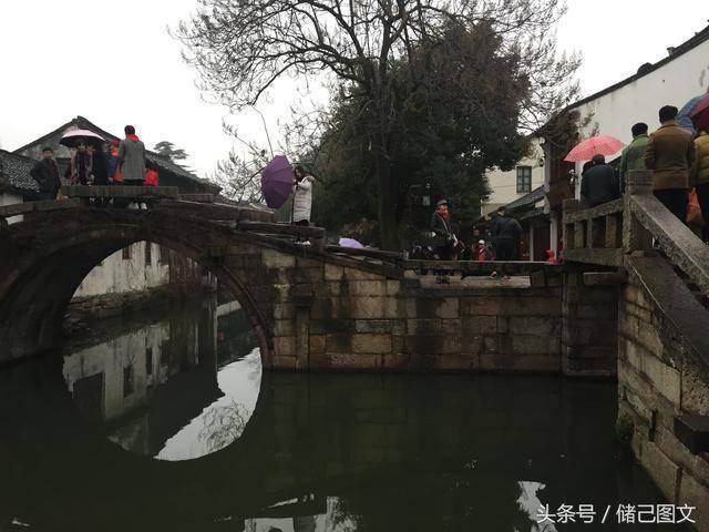 植物大战僵尸：花园战争