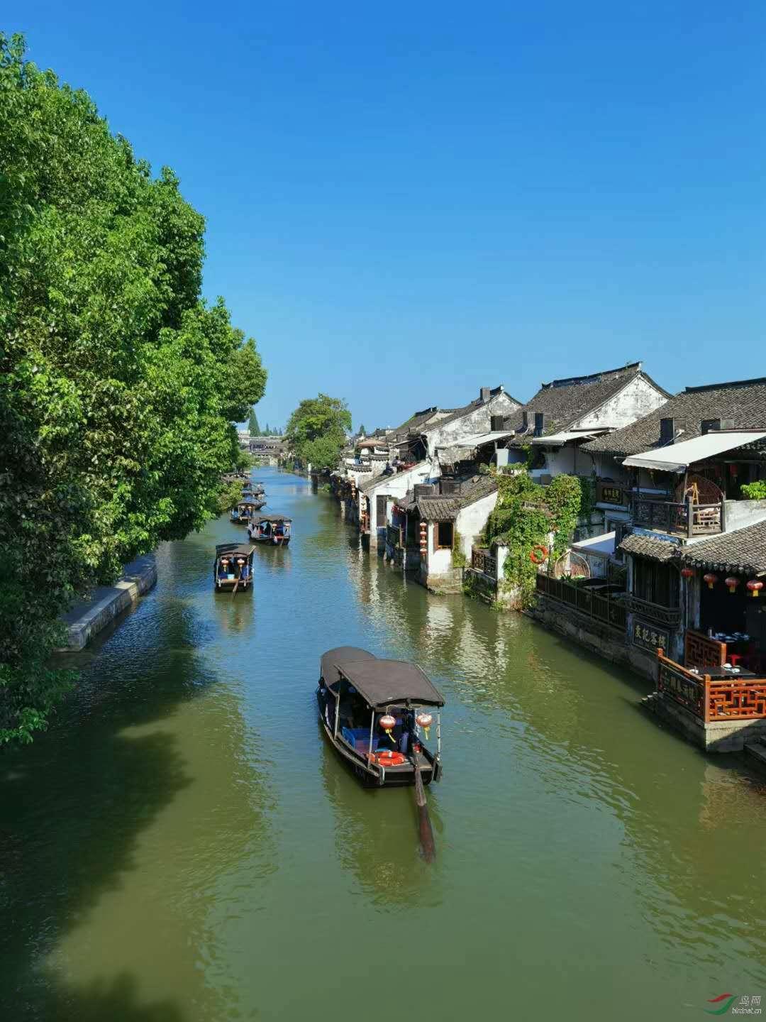 全民烧脑3去广告版