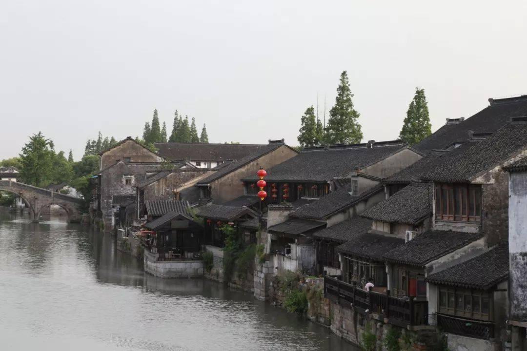 恐龙绝地逃生